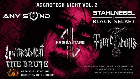 Flyer von Termin "Das Ich, Any Second, Brute, Stahlnebel & Black Selket, Time Devils, Painbastard, Unterschicht"